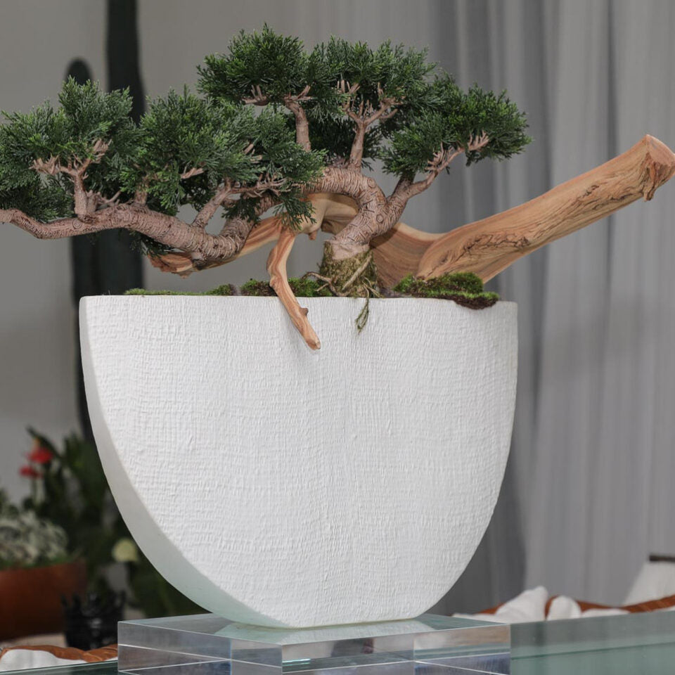 Serenity Miniature Bonsai in Textured Half-Moon Vessel