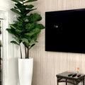 Grand Fiddle Leaf Fig Tree in White High-Gloss Vase