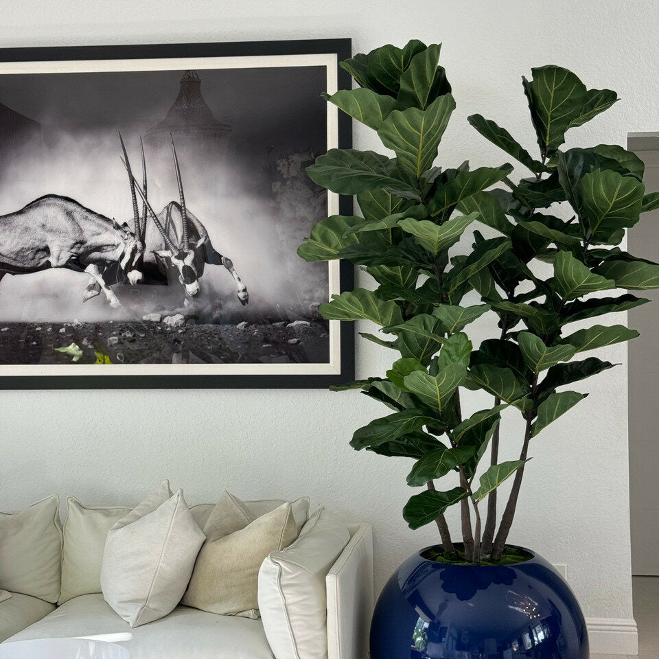 Luxury Artificial Fiddle Leaf Fig – Gloss Deep Blue Sphere Vase Edition