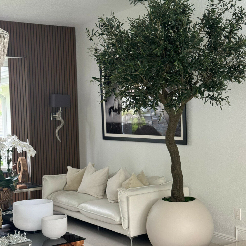 Luxury Artificial Mediterranean Olive Tree – Round Matte Ivory Vase Edition