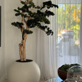 Luxury Artificial Curved Bonsai Tree – Matte Round Ivory Vase Edition