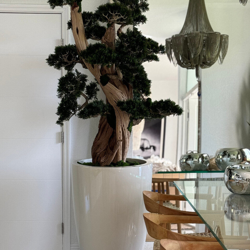 Luxury Artificial Ancient Bonsai Tree – Tall Gloss Ivory Vase Edition