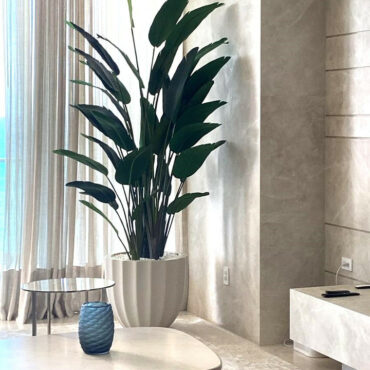 Tall Bird of Paradise in Sculpted White Rounded Planter