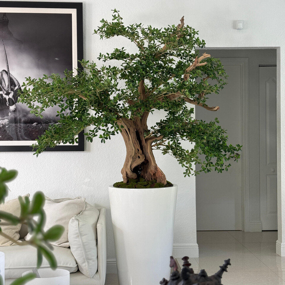 Sculptural Bonsai-Style Green Tree in Tall White Gloss Planter
